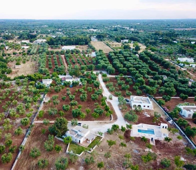 קרוביניו Villa Dominique Relax A Pochi Kilometri Dal Mare מראה חיצוני תמונה