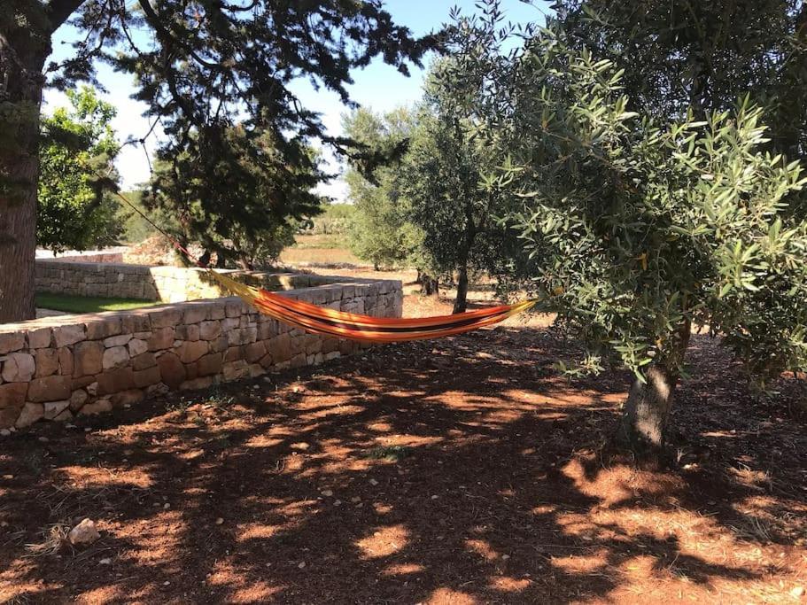 קרוביניו Villa Dominique Relax A Pochi Kilometri Dal Mare מראה חיצוני תמונה
